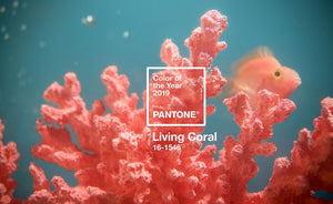 Pantone 2019 年度代表色 - Living Coral