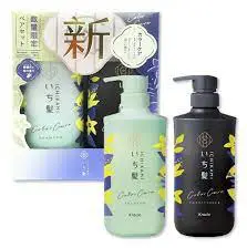 ICHIKAMI Color Care & Base Treatment in Shampoo & Condition (480ml x 2)  Kracie いち髪限定洗护套装 护色款