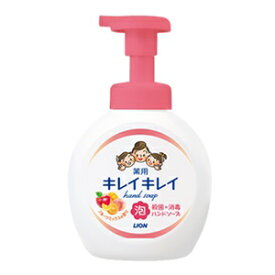 LION Medical Bubble Hand Wash (540ml) 獅王抗菌泡沫洗手液（柑橘香/花香/果香）