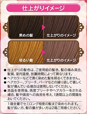 ((Crazy Clearance))SCHWARZKOPF Fresh Light Foam- Biscuit Brown (30ml + 60ml + 15g)   施華寇染髮膏 曲奇棕